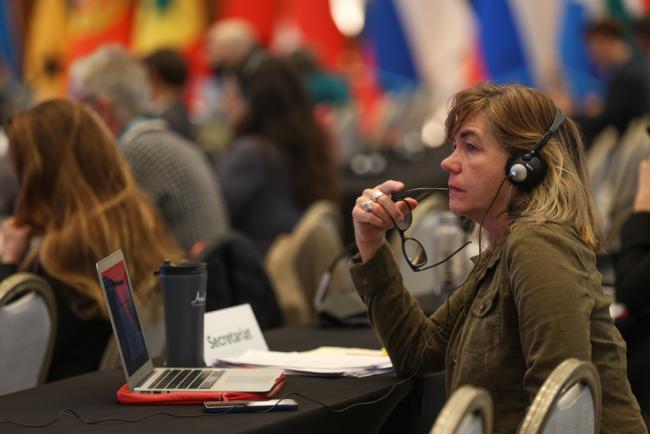 Delegates listen to the interventions