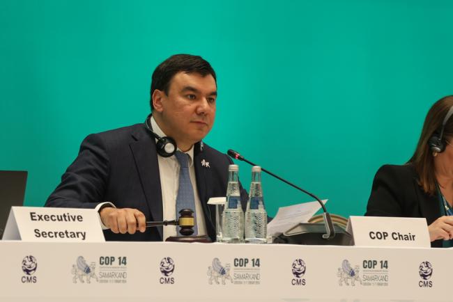 Aziz Abduhakimov, COP14 Chair, gavels decisions in the closing plenary