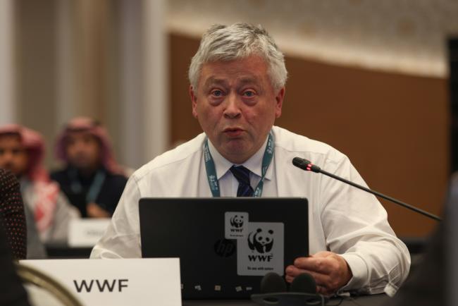 Colman O'Criodain, WWF