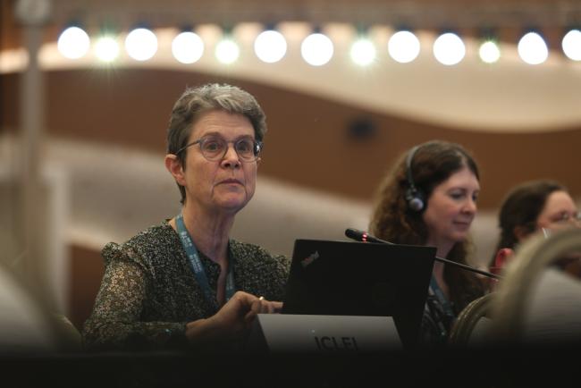 Ingrid Coetzee, ICLEI (Local Governments for Sustainability) 