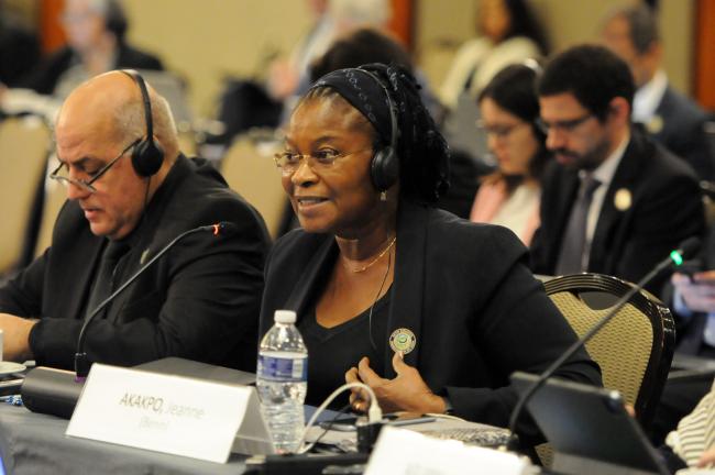 Jeanne Akakpo, Council Member, Benin