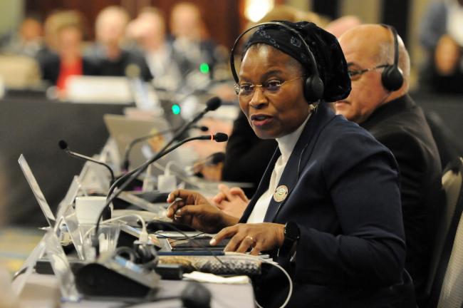 Jeanne Akakpo, Council Member, Benin