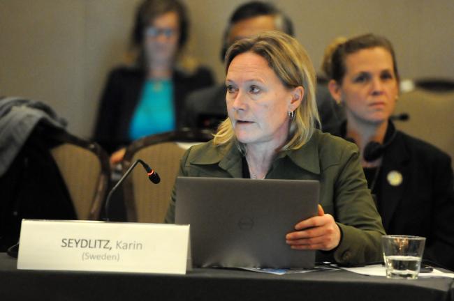 Karin Seydlitz, Council Member, Sweden