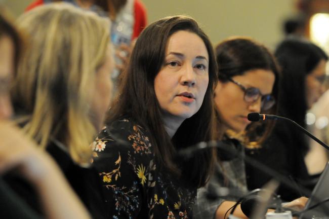 Laura Rajaniemi, Council Member, Finland
