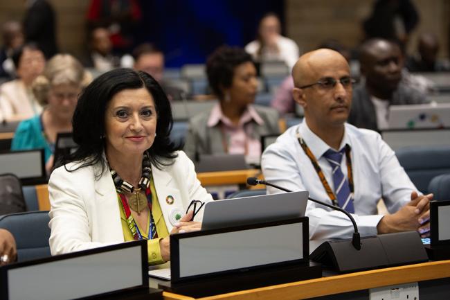 Marie Therese Merhej, Human Environmental Association for Development (HEAD) - GMGSF20 - 25Feb 2024