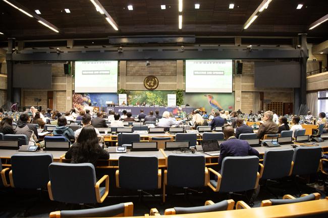 Opening 2 - GMGSF - 24Feb 2024