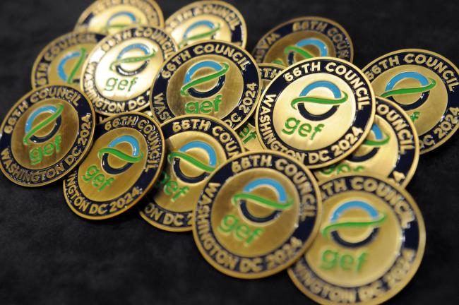 GEF pins