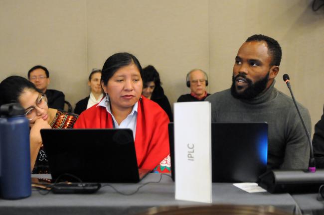 Viviana Figueroa, Indigenous Peoples Advisory Group (IPAG), and Ramson Karmushu, International Indigenous Forum on Biodiversity (IIFB)