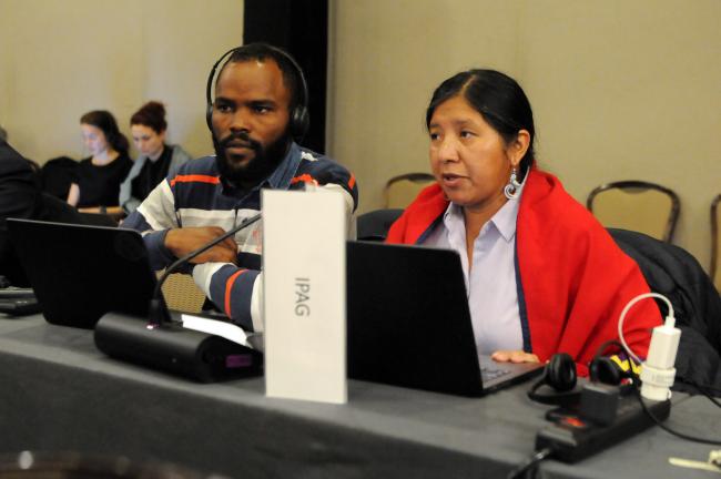 Ramson Karmushu, International Indigenous Forum on Biodiversity (IIFB), and Viviana Figueroa, Indigenous Peoples Advisory Group (IPAG)
