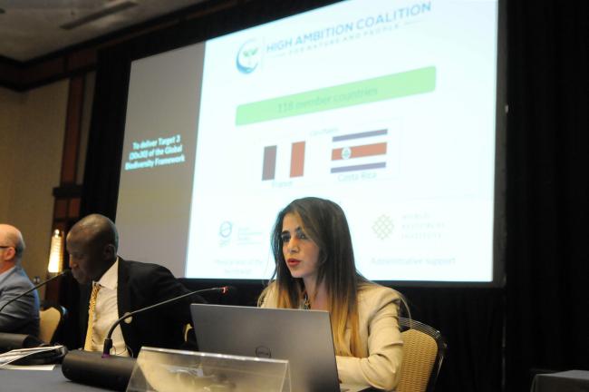 Rita Maria El Zaghloul, High Ambition Coalition for Nature and People Secretariat