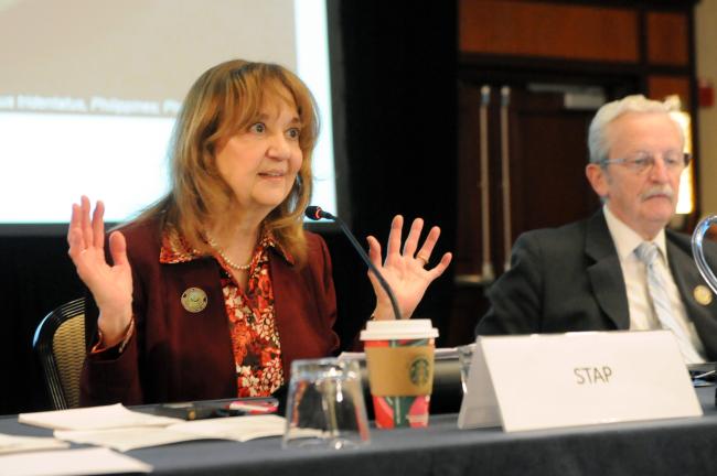 Rosina Bierbaum, STAP Chair
