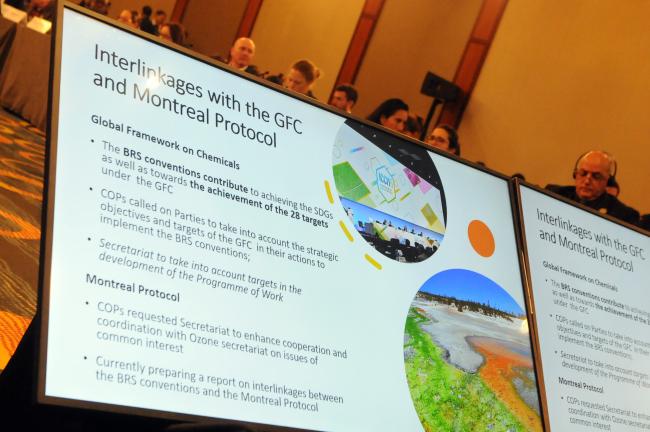 A slide from the presentation by Rolph Payet, Executive Secretary, BRS Conventions