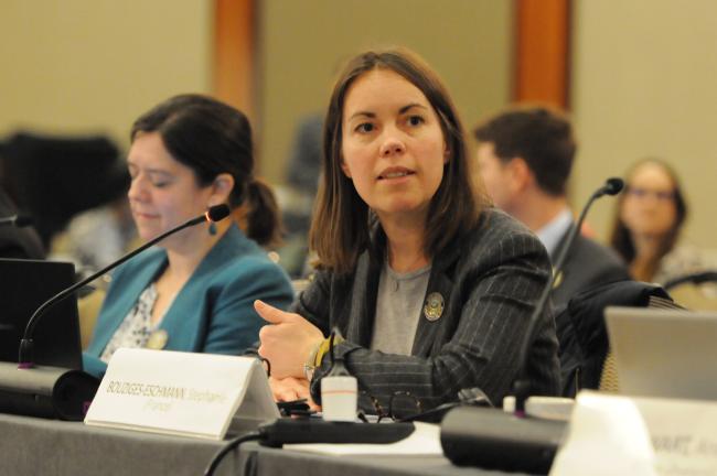Stephanie Bouziges-Eschmann, Alternate Council Member, France