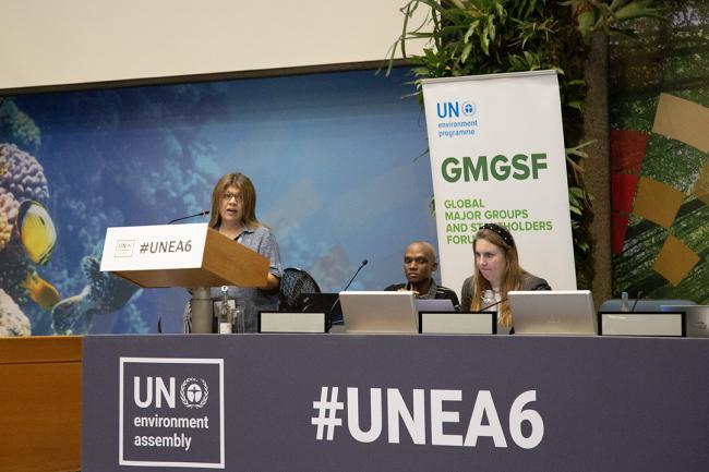 Summit of the Future and link to UNEA 6, Mara Murillo Correa - GMGSF - 24Feb 2024