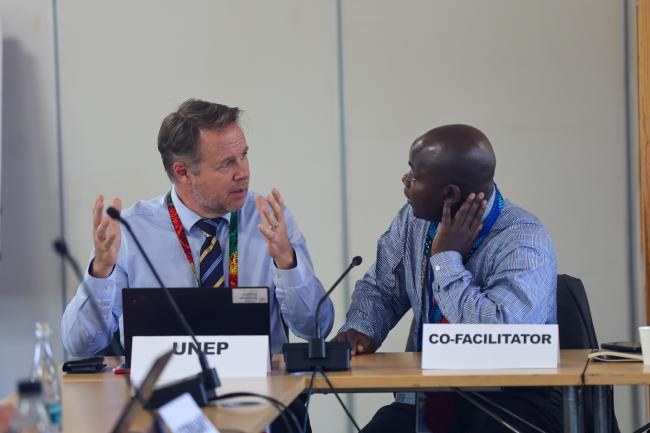 Ulf Bjornholm, Deputy Secretary, Governing Bodies and Stakeholders, UNEP, and Working Group II: Cluster E Co-Facilitator Tobias Ogweno, Kenya