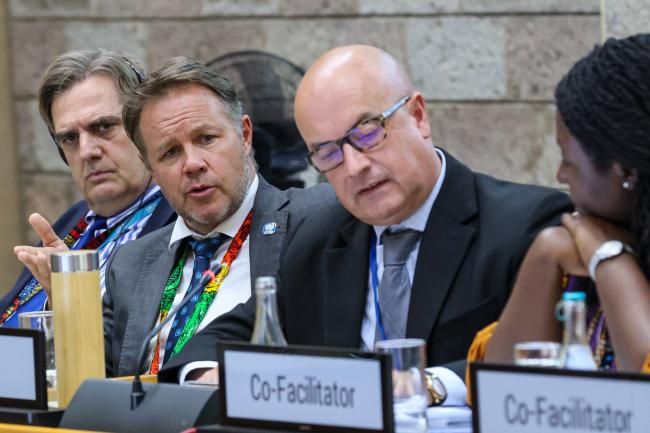 Ulf Bjornholm, Deputy Secretary, Governing Bodies and Stakeholders, UNEP, and Stadler Trengove, UNEP Legal Officer