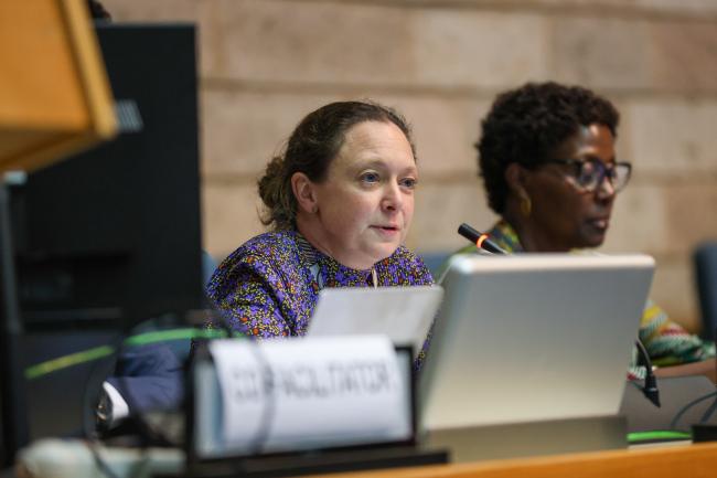   Working Group II: Cluster C Co-Facilitator Karin Snellman, Sweden