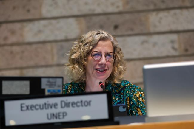 Inger Andersen, Executive Director, UN Environment Programme