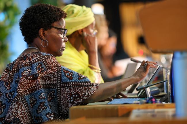 Elizabeth Maruma Mrema, Deputy Executive Director, UNEP