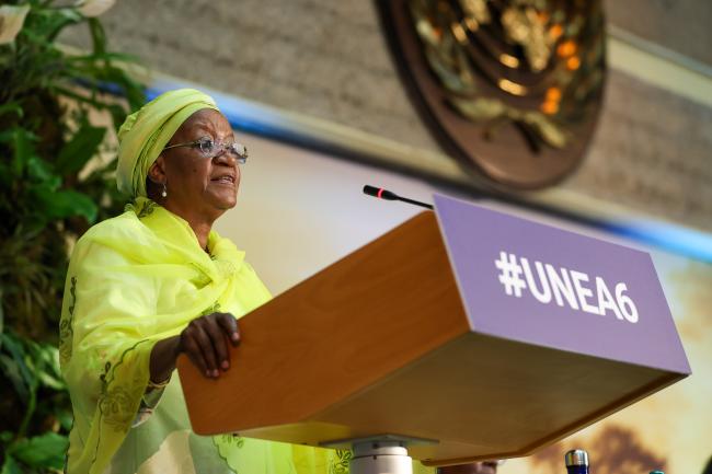 Zainab Hawa Bangura, Director-General, UN Office at Nairobi