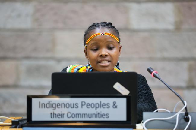 Daisy Chepkopus, Indigenous Peoples Major Group