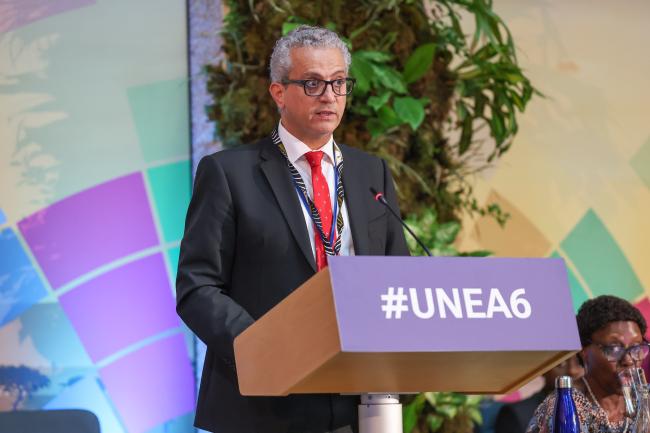 Firas Khouri, Chair of the Committee of Permanent Representatives, Jordan