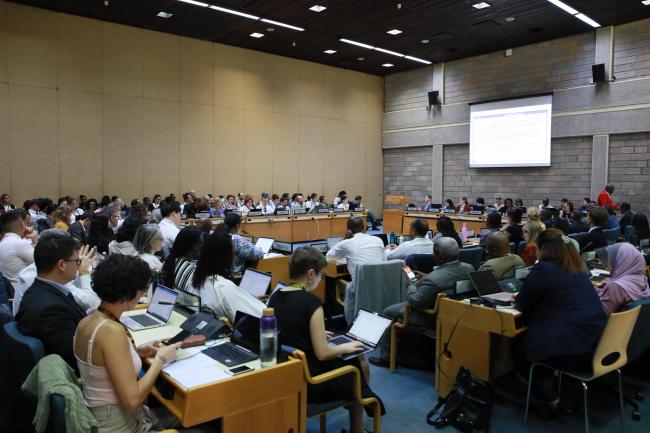 View of the room during Working Group I Cluster A