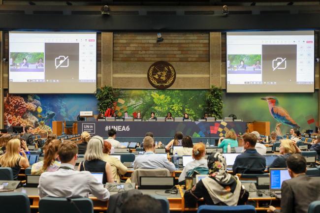 View of the dais during Working Group I: Cluster A