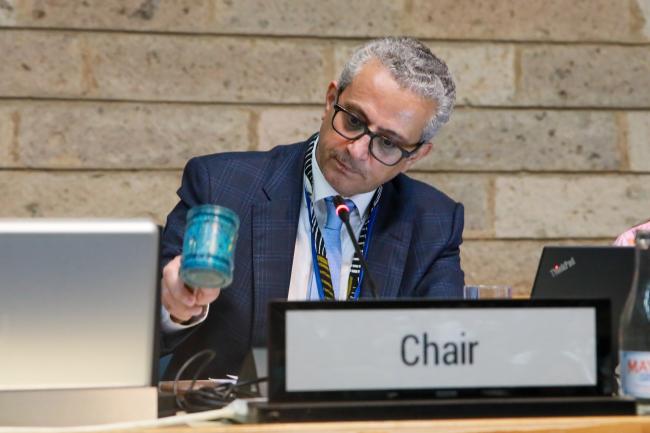 Firas Khouri, Chair of the Committee of Permanent Representatives, Jordan