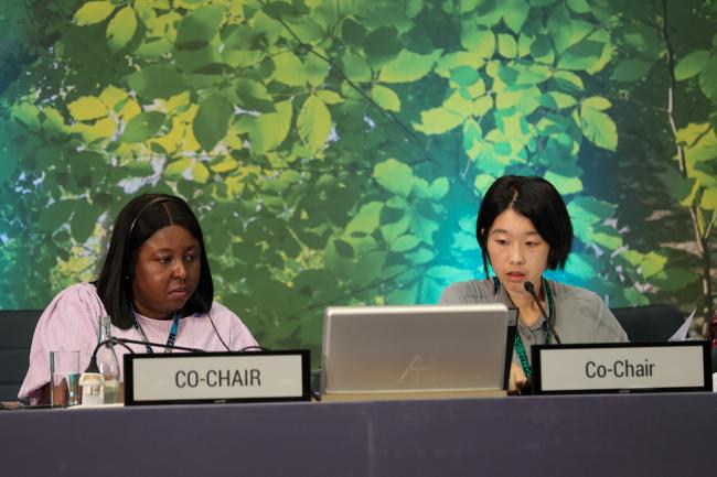 Contact Group I: Cluster A Co-Facilitators Nana Ama Owusuaa Afriyie Kankam, Ghana, and Yume Yorita, Japan