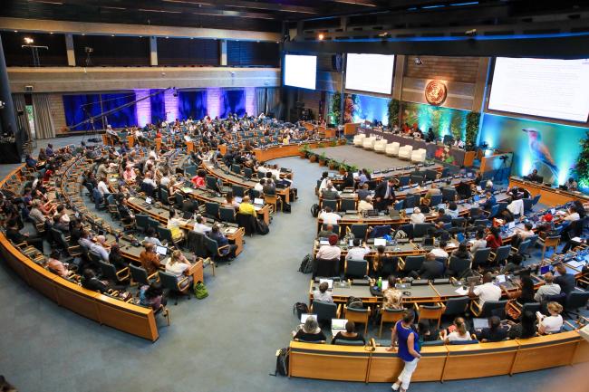 View of the room during Contact Group I: Cluster A