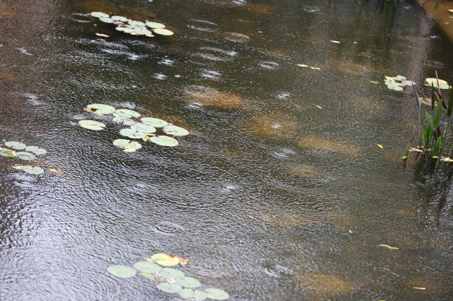 Raining