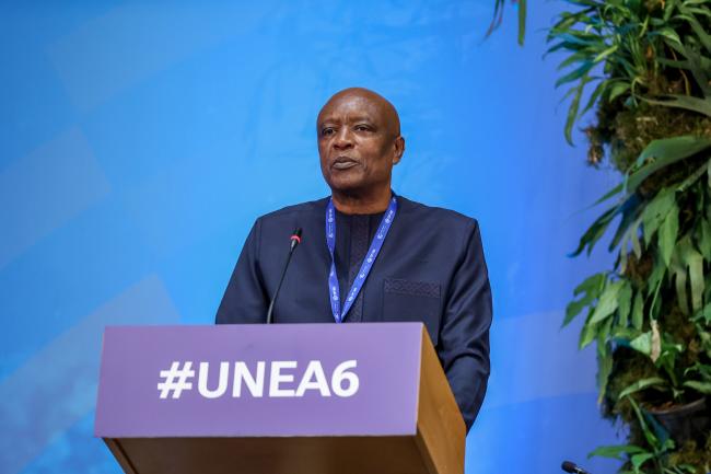 Cheikh Ndiaye Sylla, Vienna Convention for the Protection of the Ozone Layer COP 12 President