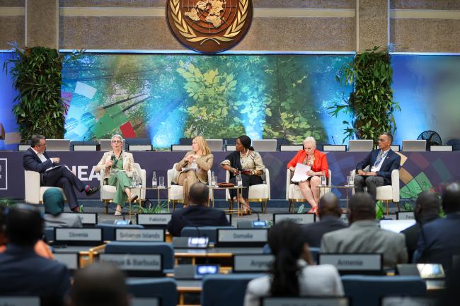 David O. Obura, Intergovernmental Science-Policy Platform on Biodiversity and Ecosystem Services (IPBES) Chair