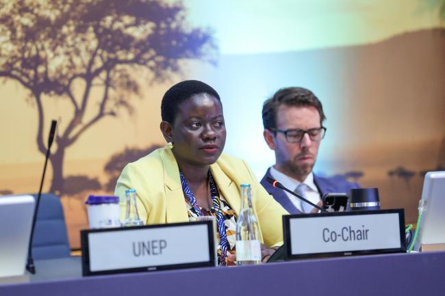 Contact Group II: Cluster D Co-Chair Felista Rugambwa, Tanzania