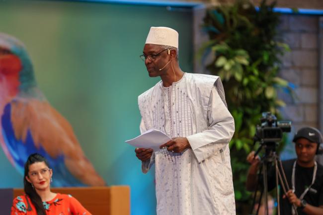 Ibrahim Thiaw, Executive Secretary, UN Convention to Combat Desertification
