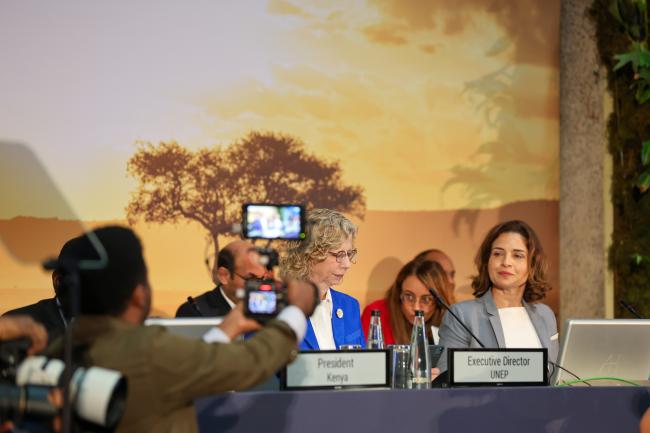 High-Level plenary