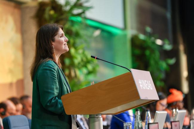 Paula Narváez, President of the UN Economic and Social Council