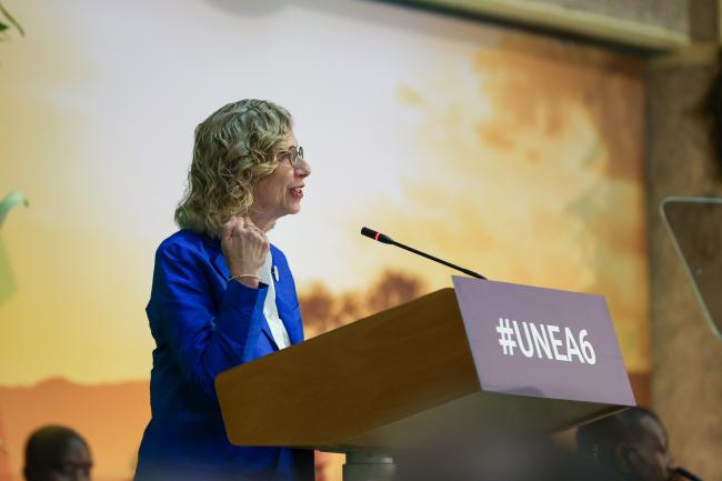 Inger Andersen, Executive Director, UNEP