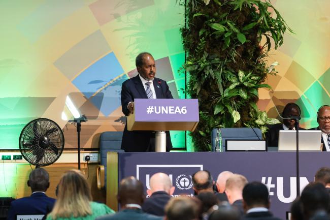 Hassan Sheikh Mohamud, President of Somalia