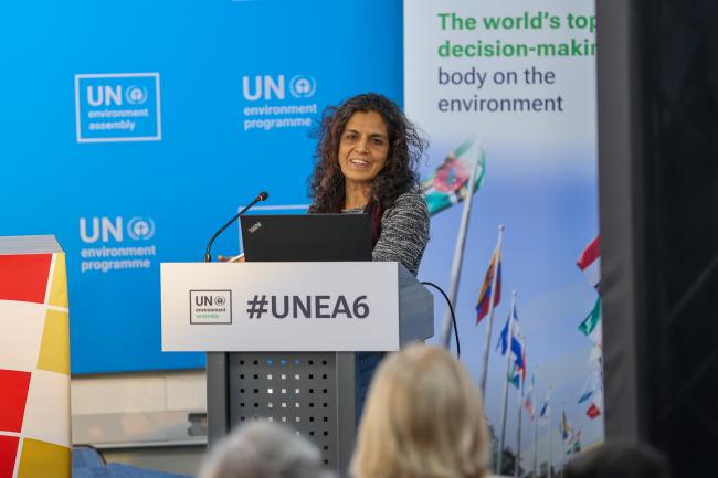 Sheila Aggarwal-Khan Director of Industry and Economy, UNEP