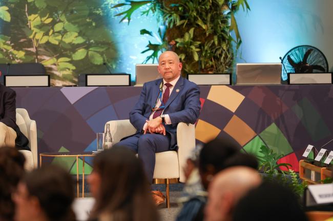 Christopher Chin, NGO Major Group