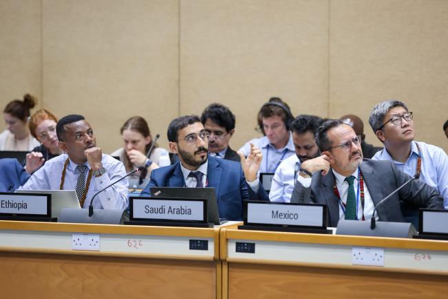 Working Group I: Cluster A