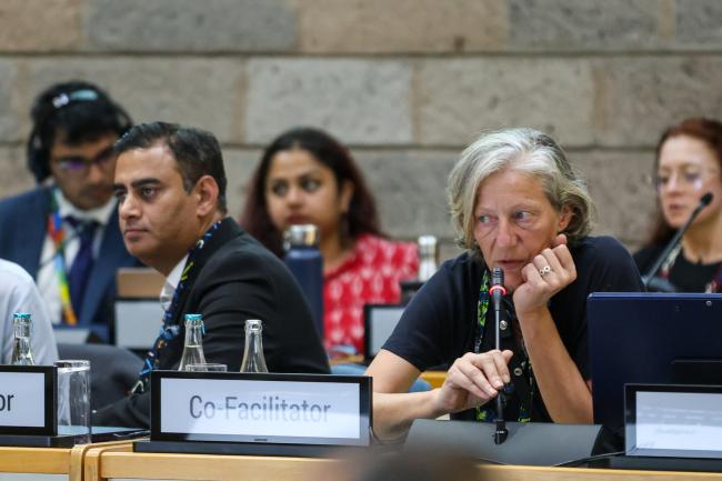 Working Group I: Cluster B Co-Facilitators Rohit Vadhwana, India, and Gudi Alkemade, Netherlands