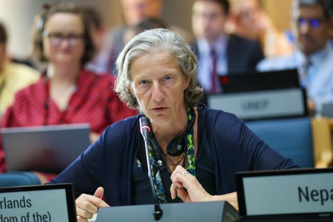 Working Group I: Cluster B Co-Facilitator Gudi Alkemade, the Netherlands