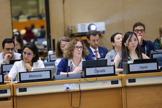 Working Groups