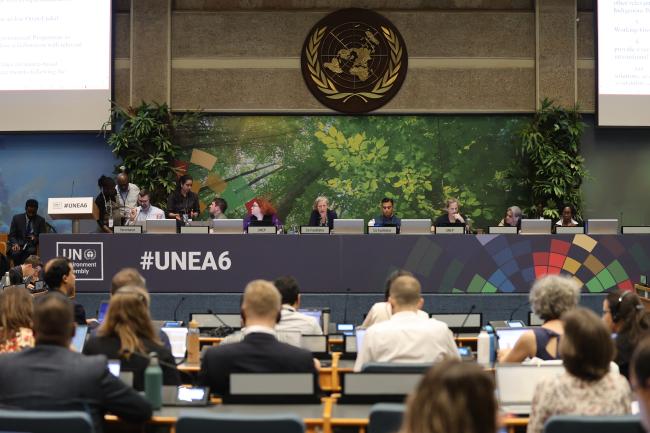 View of the dais during Working Group I: Cluster B
