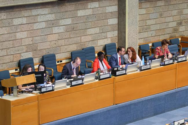 View of the dais during Working Group II: Cluster D