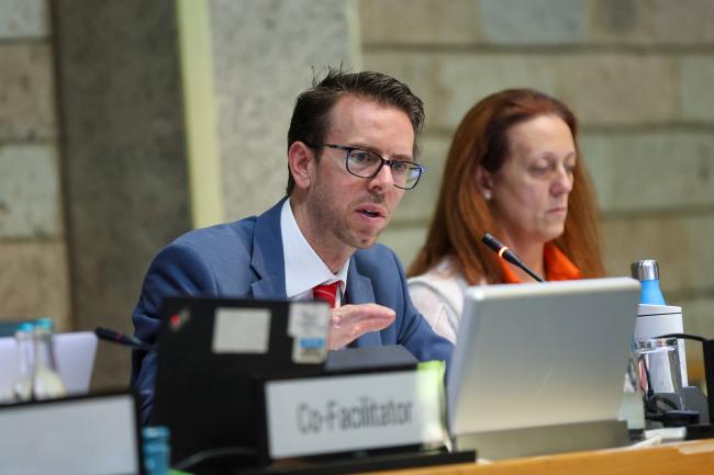 Working Group II: Cluster D Co-Facilitator Robert Bunbury, Canada
