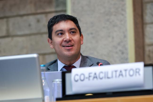 Working Group II Cluster C Co-Facilitator Alejandro Montero, Chile